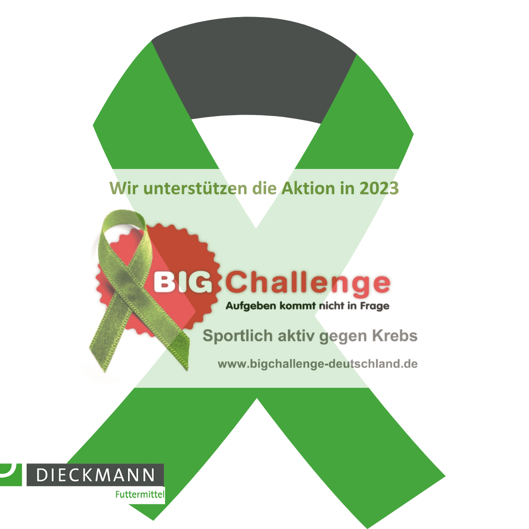BIG Challenge Deutschland